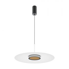 Подвесной светильник Maytoni MOD041PL-L15W3K1