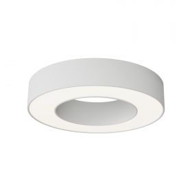 Потолочный светильник Technical C093CL-24W4K-W