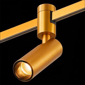 ST811.206.05 Магнитный трековый светильник FARM Золотистый LED 1*5W 3000K 350Lm Ra90 60 IP20 D35xH10.