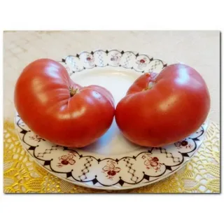 Томат "Хабаровский Розовый" (1952 г.)
