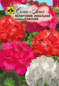 Пеларгония Классик (Семко)
