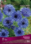 Anemona-mahrovaya-Blu-10-sht-Poisk