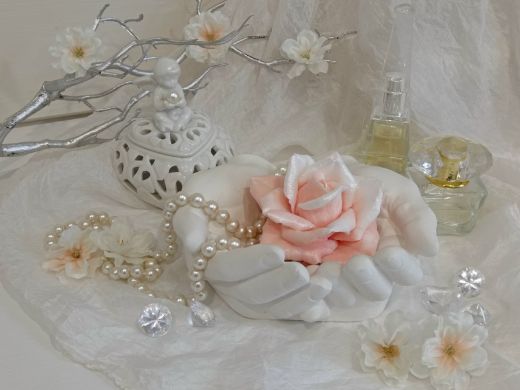 ~Роза Аморе~