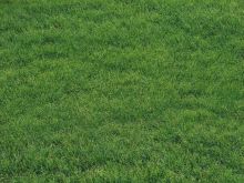 Фон полы "Trawa floor №2"