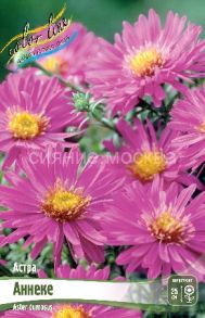 Астра Аннеке, 1 шт (Colorline)