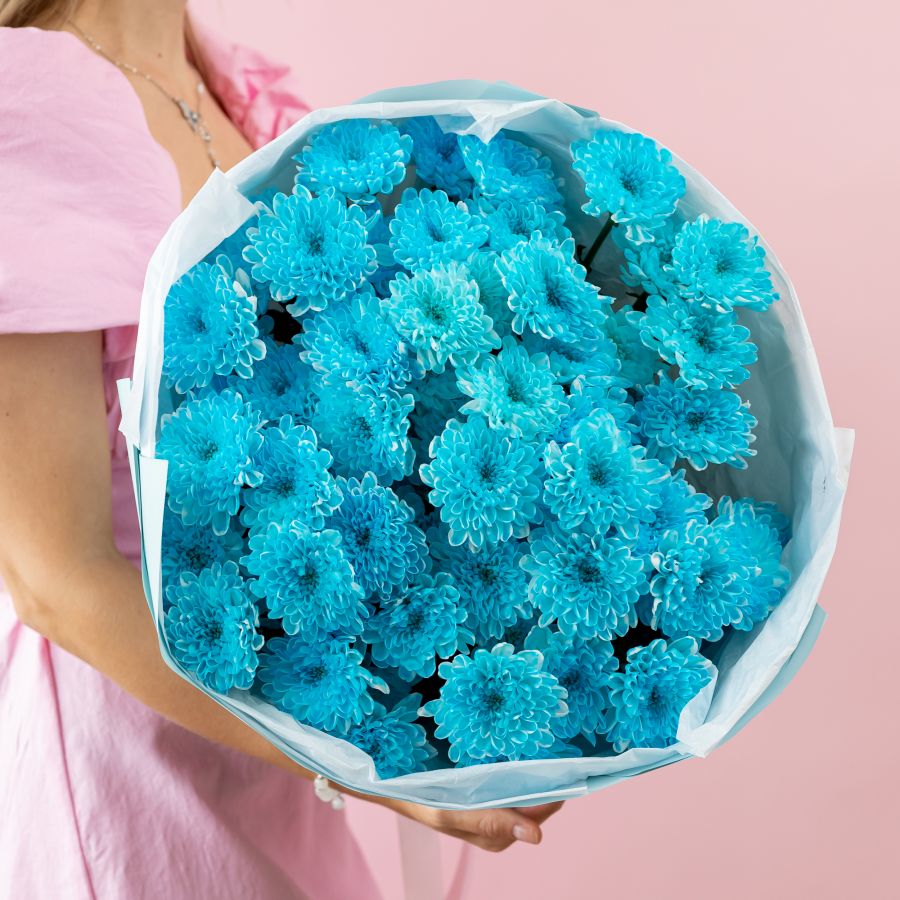 Хризантема голубая 9 шт