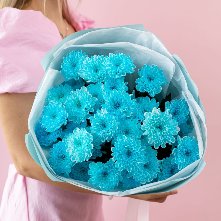 Хризантема голубая 5 шт