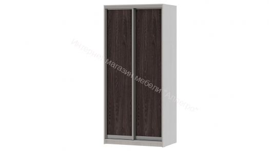 Шкаф-купе "Мираж 10.2" 2-х дверный Ясень анкор светлый/Ясень анкор темный