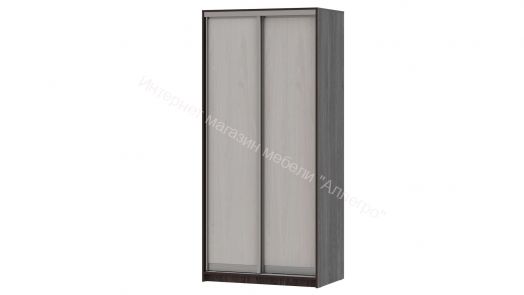 Шкаф-купе "Мираж 10.2" 2-х дверный Ясень анкор темный/Ясень анкор светлый