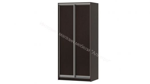 Шкаф-купе "Мираж 10.2" 2-х дверный Венге