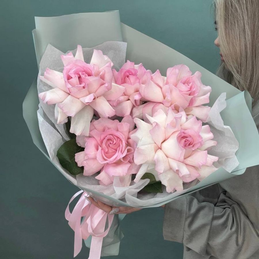 Розы французские Пинк Мондиаль