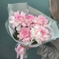 Розы французские Пинк Мондиаль