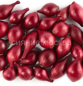 Лук-севок Кармен, 500 г Россия