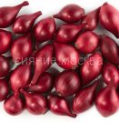 Luk-sevok-Karmen-500-g-Rossiya