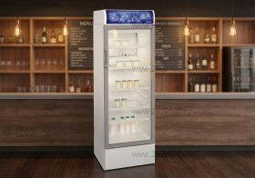 Шкаф холодильный Бирюса 310 Р канапе