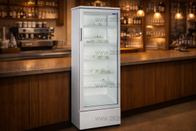 Шкаф холодильный Бирюса 310 Е