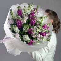 Авторский моно-букет с маттиолой