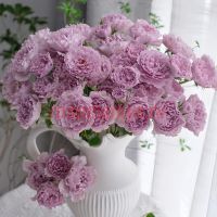 Либеллула (Libellula) 2 сорт