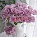 Либеллула (Libellula) 2 сорт