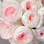 Ариетта (Arietta)