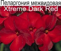 Xtreme Dark Red