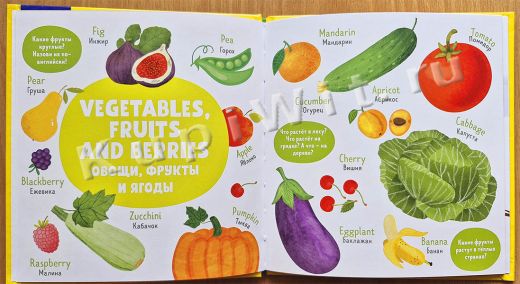 Первые слова на английском