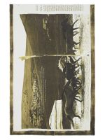 Палантин женский шерсть+каш 120х190 J42-50713-15 ELEGANZZA