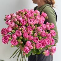 Розы кустовые под ленту