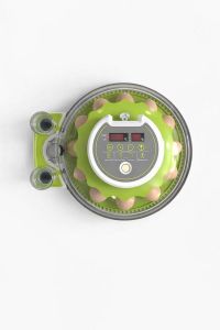 Инкубатор WQ-GY8 на 8 куриных яиц с автоматическим переворотом