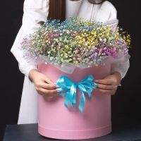 Радужная гипсофила в коробке