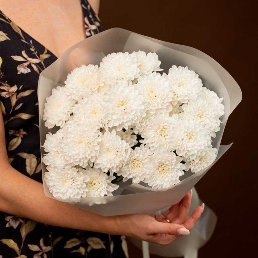 Хризантема 5 шт