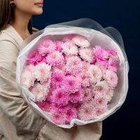 Хризантема 9 шт (Розовая нежная)