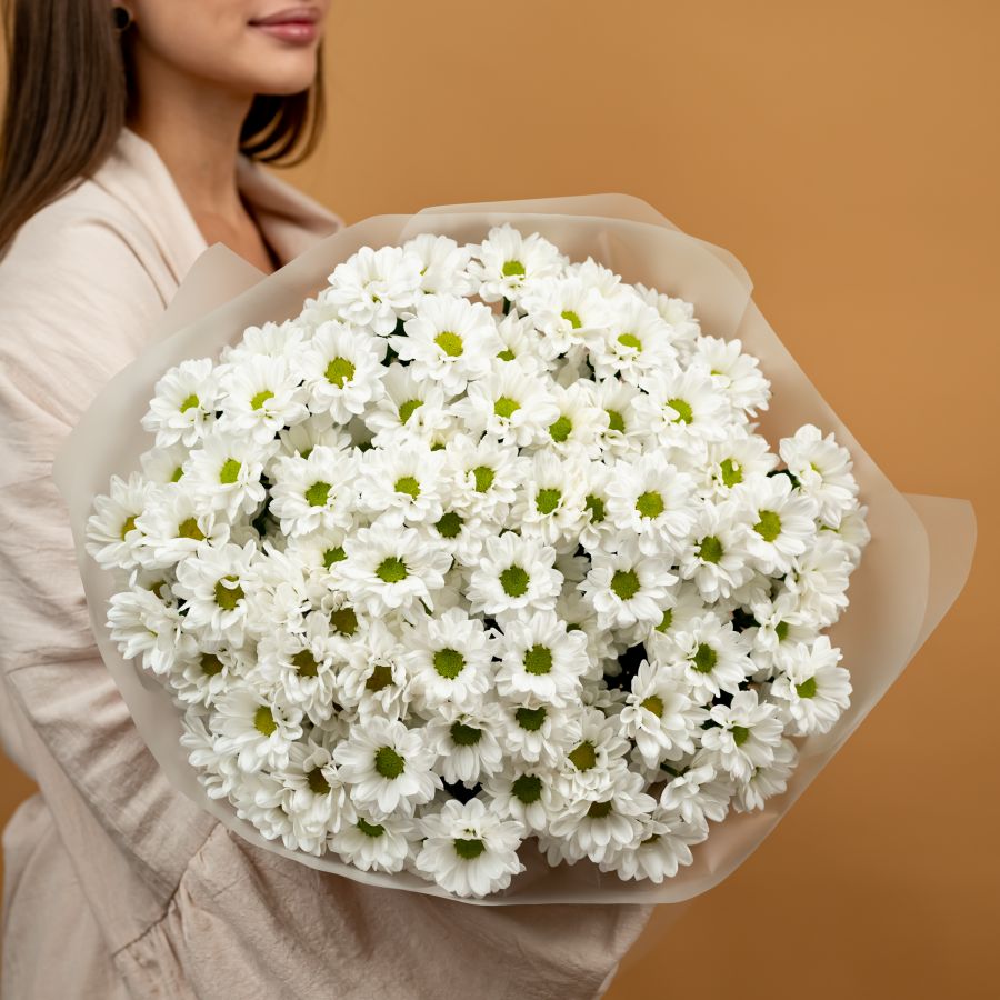 Хризантема ромашковая 15 шт