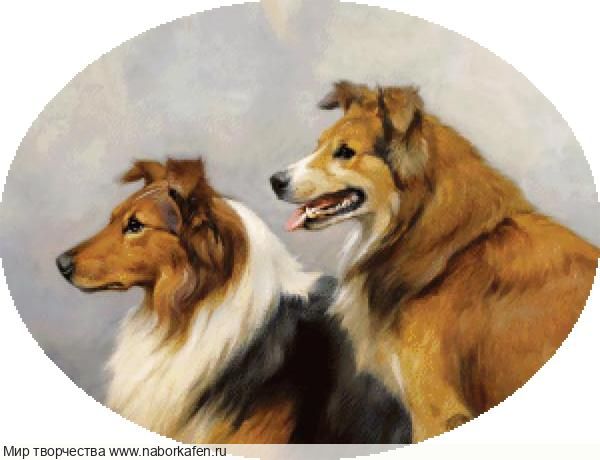 Набор для вышивания "Колли"