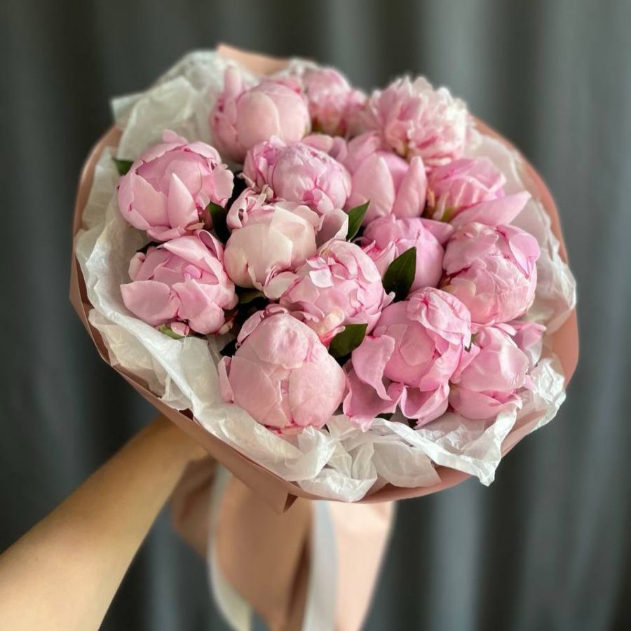 Пионы Сара Бернар