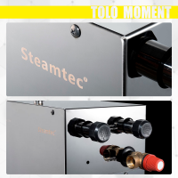 Парогенератор Steamtec TOLO MOMENT 30 - 3 кВт