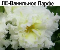 ЛЕ-Ванильное Парфе
