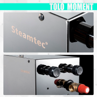 Парогенератор Steamtec TOLO MOMENT 60 - 6 кВт