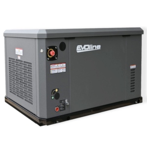 Генератор газовый EVOline GNG 19000 E