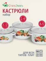 Набор посуды эмалированная сталь, 3 предмета, кастрюли 1.5,2.9,4.5 л, индукция, СтальЭмаль, Урожай, 1с33