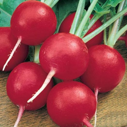 Редис Ризенбуттер, 10г семян