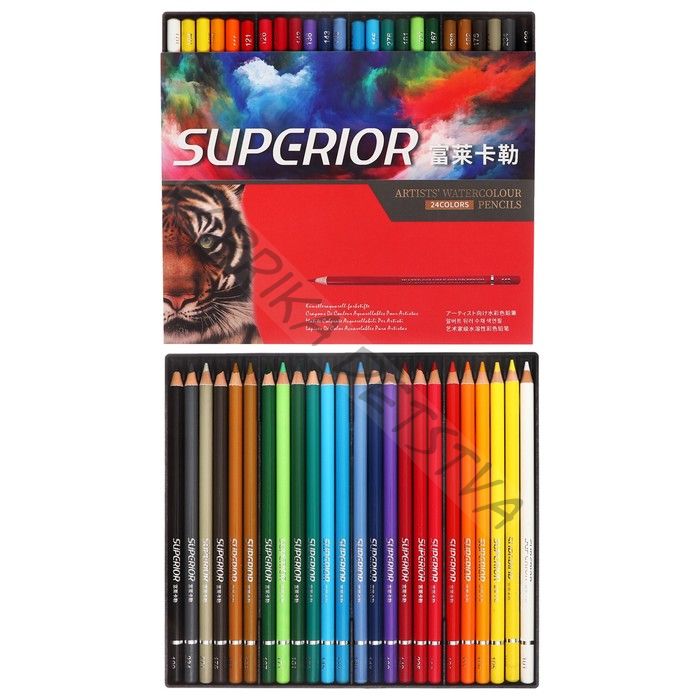 Карандаши цветные акварельные 24 цвета, в картонной коробке WCP-24