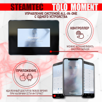 Парогенератор Steamtec TOLO MOMENT 150 - 15 кВт