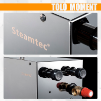 Парогенератор Steamtec TOLO MOMENT 180 - 18 кВт