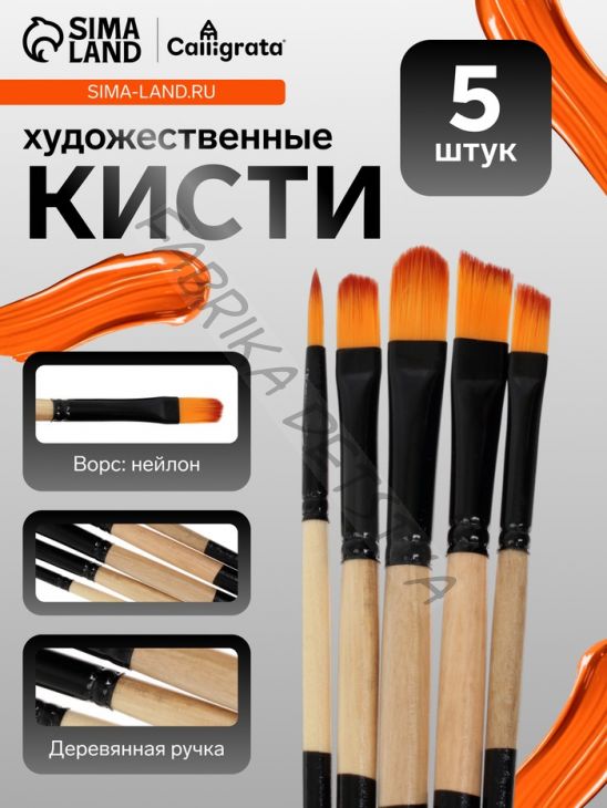 Набор кистей для рисования, нейлон, 5 штук: круглая, плоские, международный размер