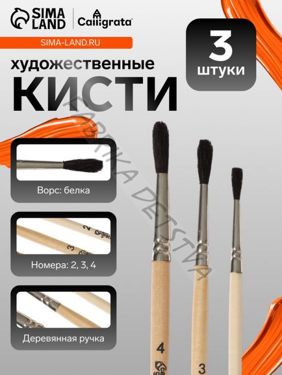 Набор кистей для рисования, белка, 3 штуки: №: 2, 3, 4, Calligrata, круглые, деревянная ручка, в пакете