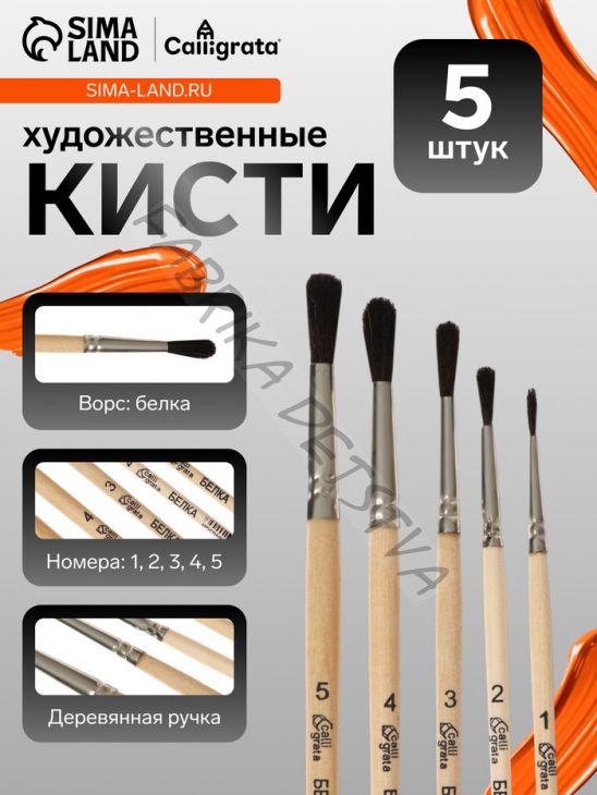 Набор кистей для рисования, белка, 5 штук: №: 1, 2, 3, 4, 5, Calligrata, круглые, деревянная ручка, в пакете