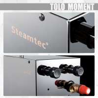Парогенератор Steamtec TOLO MOMENT 225 - 22,5 кВт