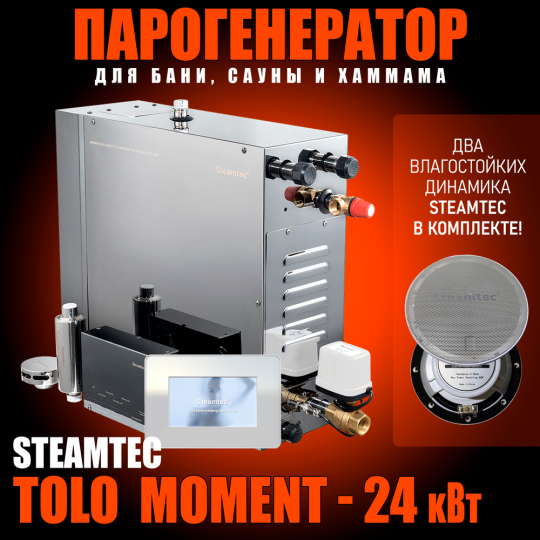 Парогенератор Steamtec TOLO MOMENT 240 - 24 кВт