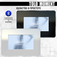 Парогенератор Steamtec TOLO MOMENT 240 - 24 кВт